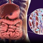 Maintaining a Healthy Gut Microbiome May Help You Fight COVID-19 & Other Infectious Diseases